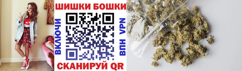 Бошки Шишки план Лысково